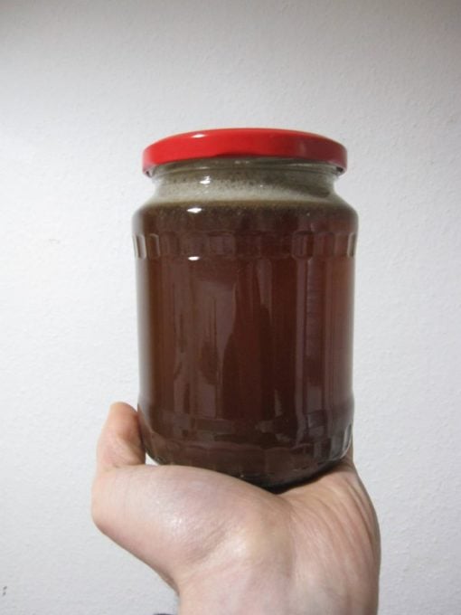 Ayahuasca